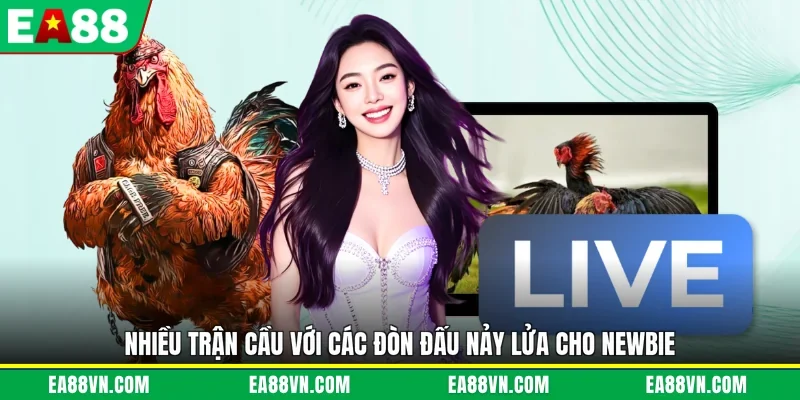 Nhiều trận cầu với các đòn đấu nảy lửa cho newbie